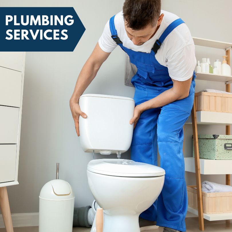 Plumbing Company in Newaygo, MI